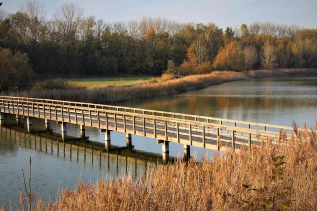 Huisje Vogelenzang Zeeland Sint Annaland Bagian luar foto