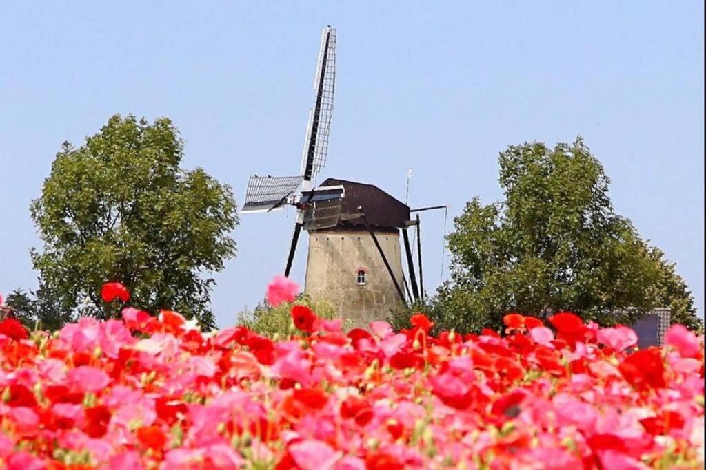 Huisje Vogelenzang Zeeland Sint Annaland Bagian luar foto