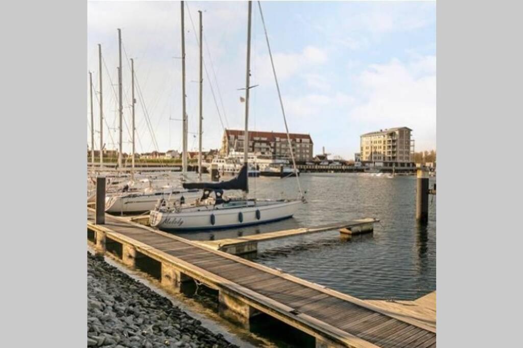 Huisje Vogelenzang Zeeland Sint Annaland Bagian luar foto