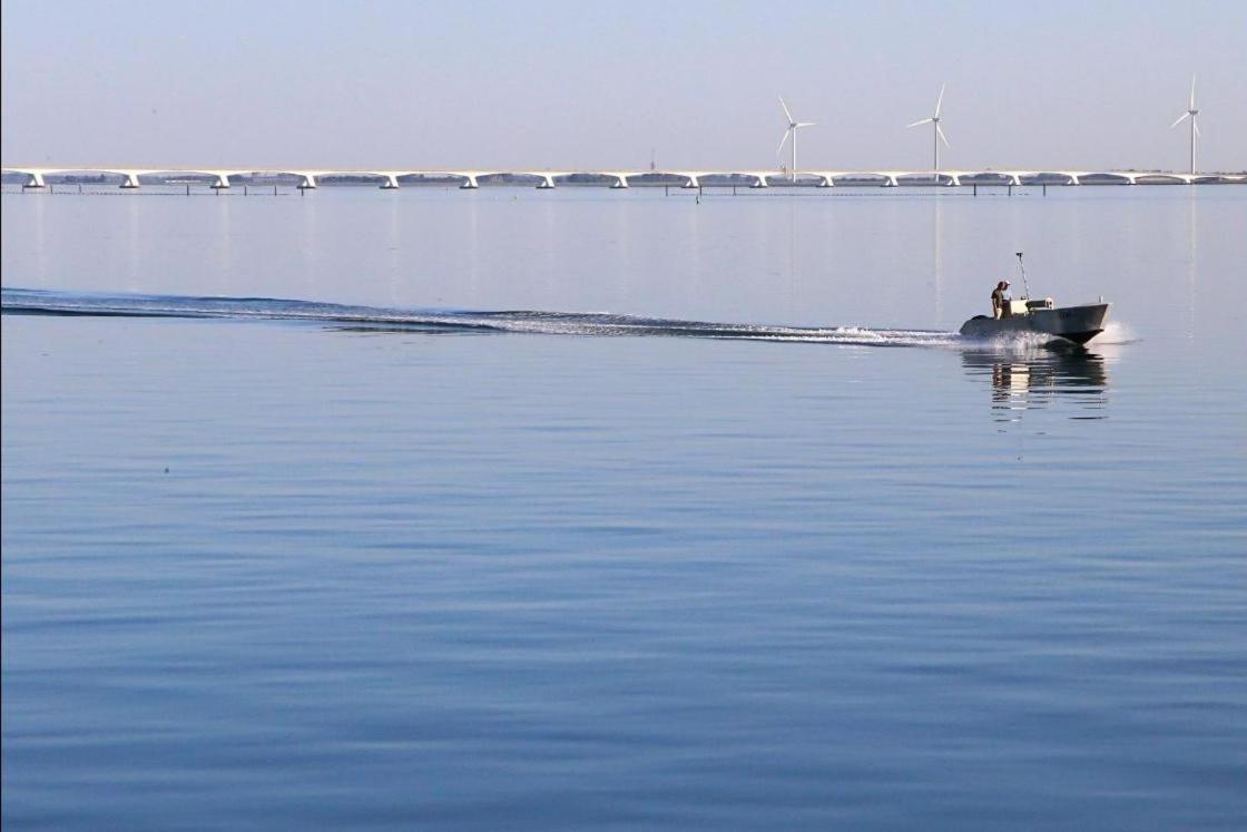 Huisje Vogelenzang Zeeland Sint Annaland Bagian luar foto