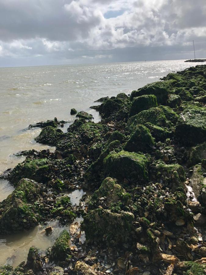 Huisje Vogelenzang Zeeland Sint Annaland Bagian luar foto