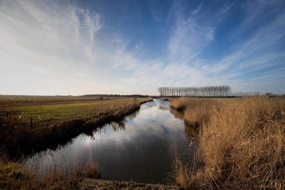 Huisje Vogelenzang Zeeland Sint Annaland Bagian luar foto