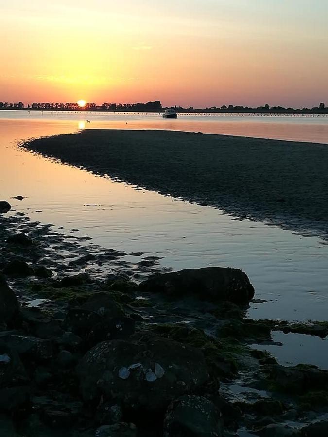 Huisje Vogelenzang Zeeland Sint Annaland Bagian luar foto