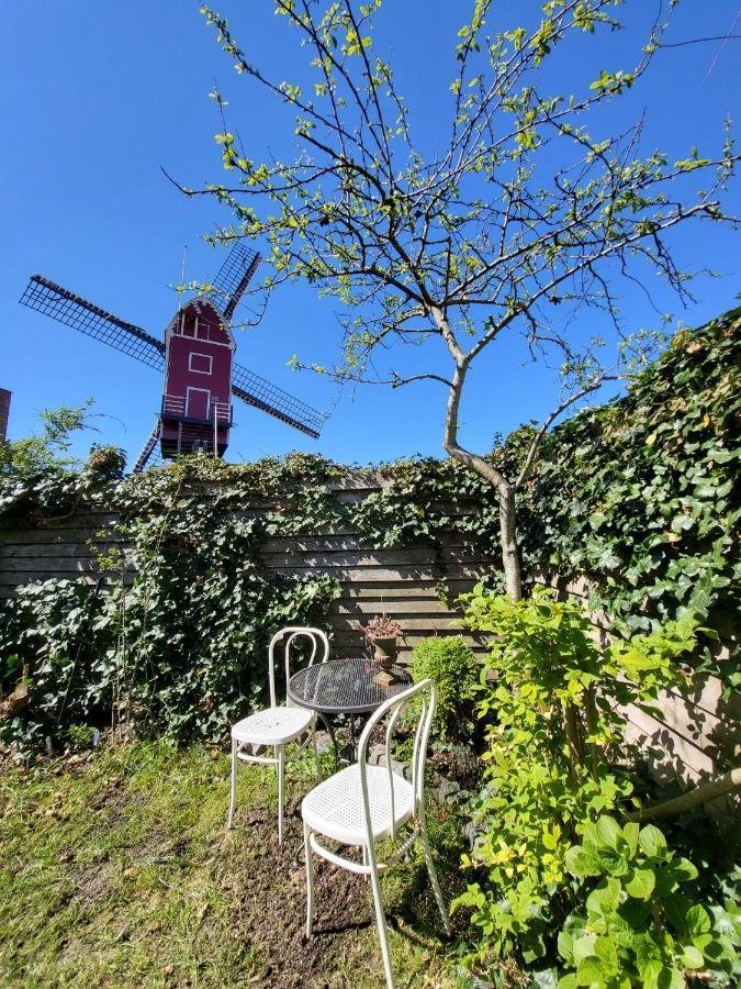 Huisje Vogelenzang Zeeland Sint Annaland Bagian luar foto